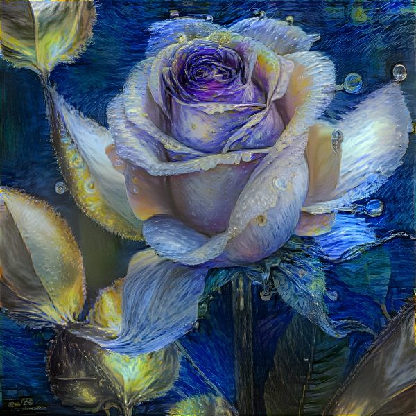 Starry Rose