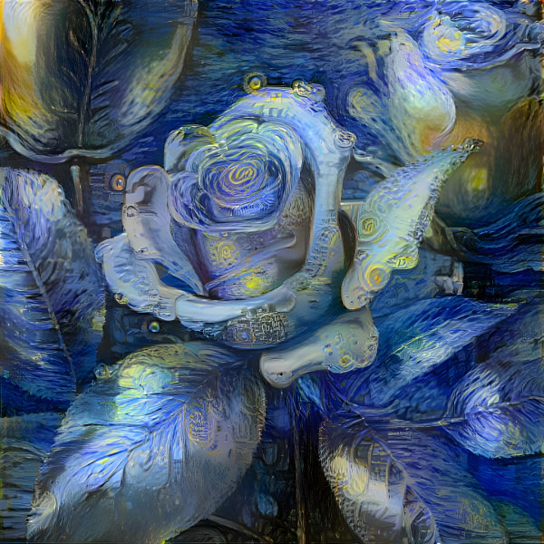 Starry Rose