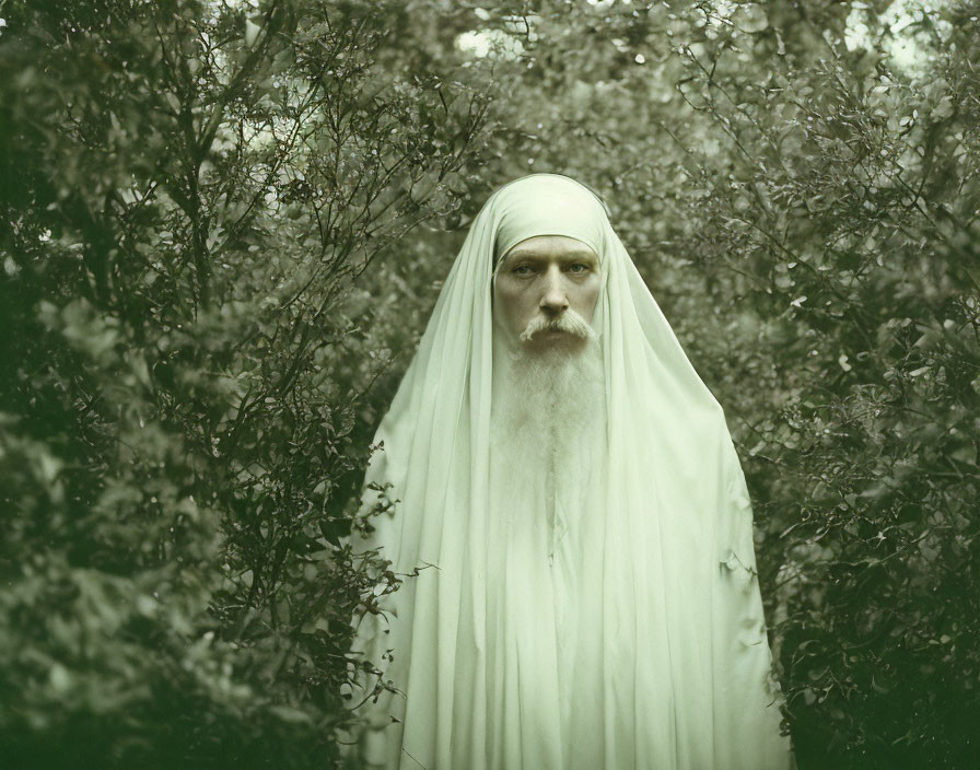 Elder man with long white beard in white cloth surrounded by lush greenery