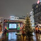 Snow-covered trees and lit Christmas decorations in a festive winter scene