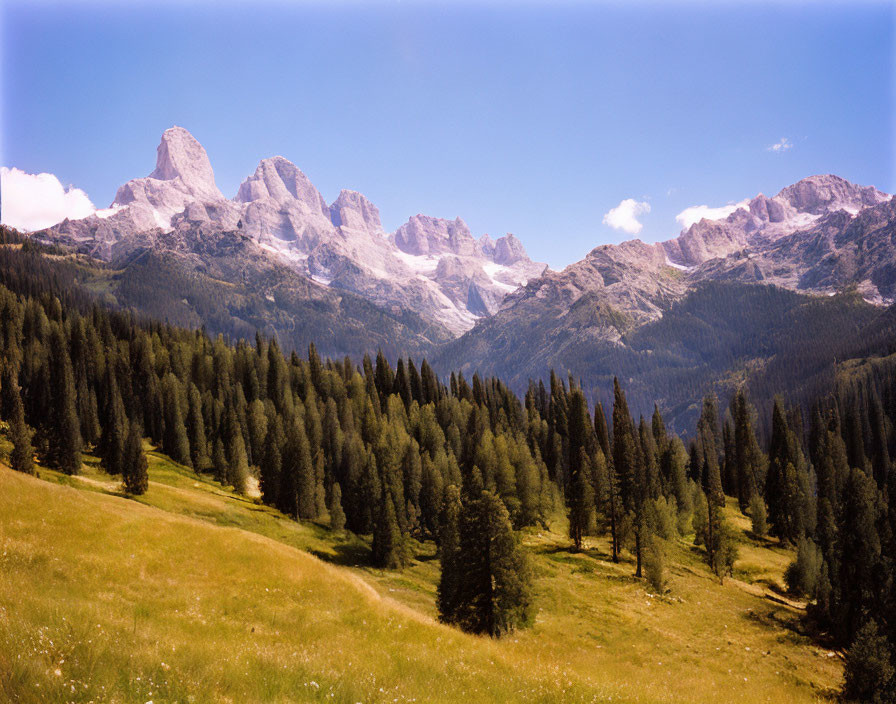 Panoramic view of jagged mountain range, green forests, blue sky