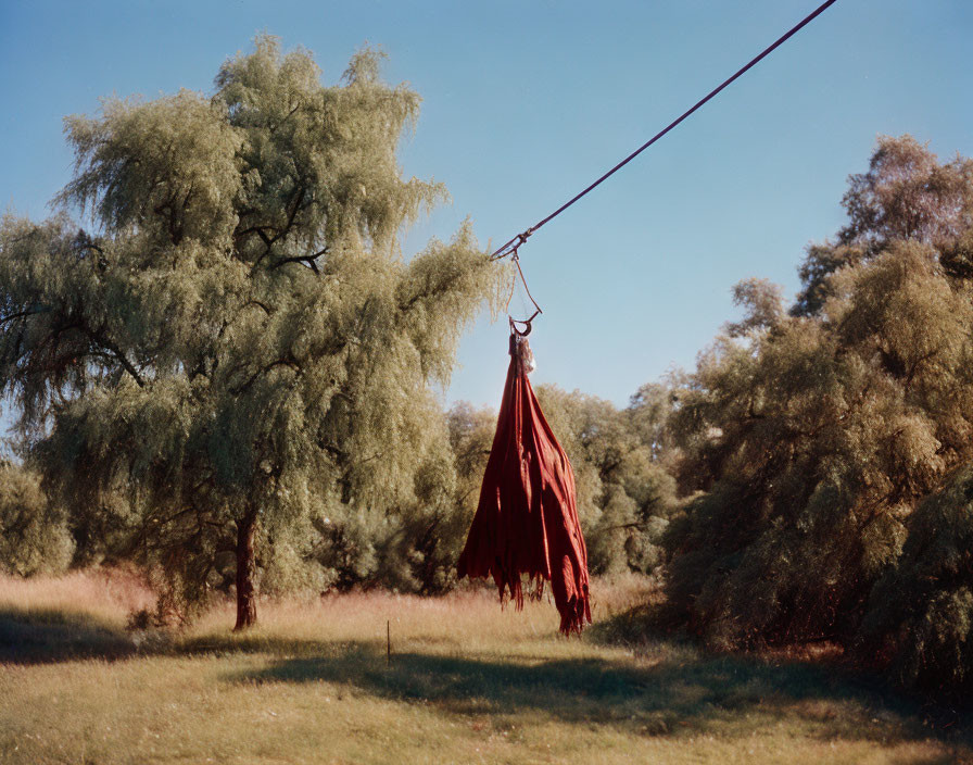 Red fabric hangs between trees in sunlit field