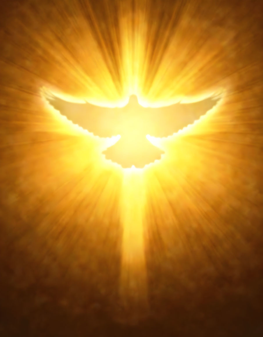 Radiant bird silhouette with outstretched wings on glowing backdrop