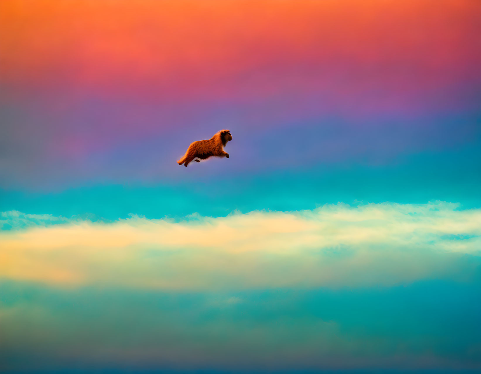 Silhouette of a jumping dog against vibrant gradient sky