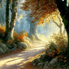 Sunlit forest path with autumn leaves, trees, and rocks for a tranquil atmosphere