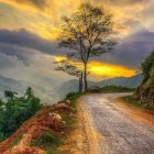 Scenic mountain landscape at sunset with winding path and vibrant wildflowers