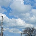 Vibrant pink, blue, and yellow smoke plumes over power lines and trees.