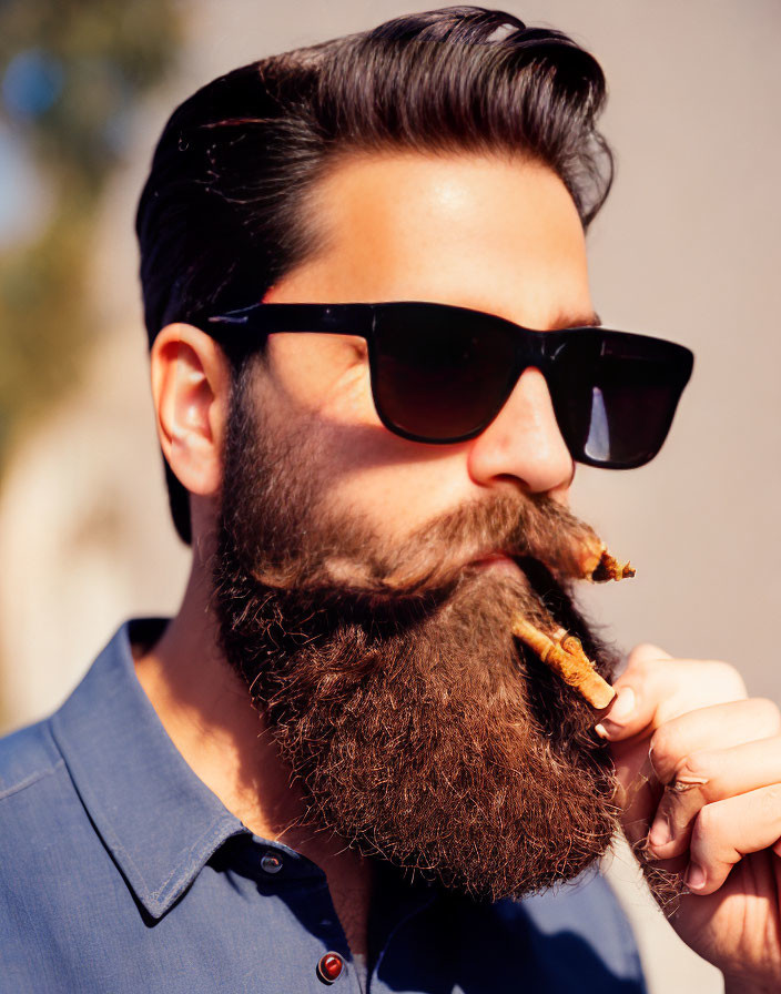 Man with Full Beard and Sunglasses Bites Cinnamon Stick in Stylish Attire