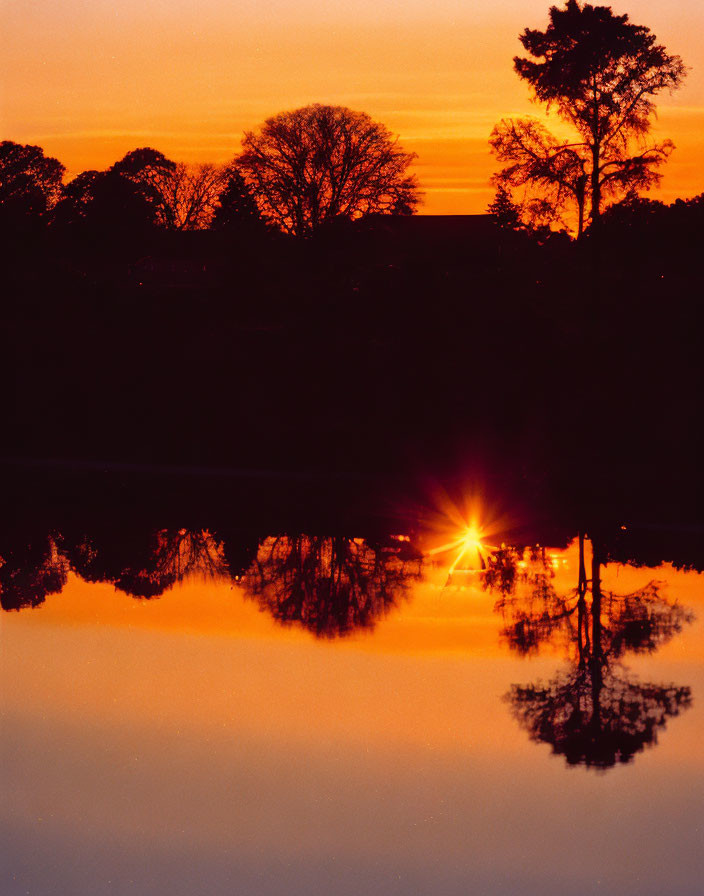 Vivid sunset behind trees reflecting on a calm lake