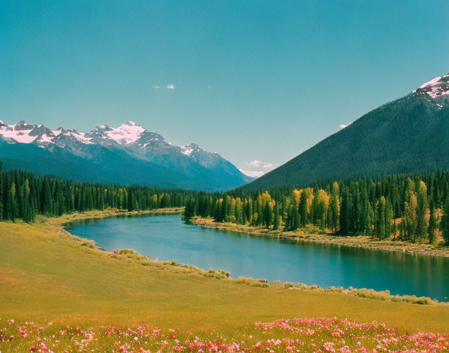 Tranquil river in lush valley with wildflowers, forests, and mountains