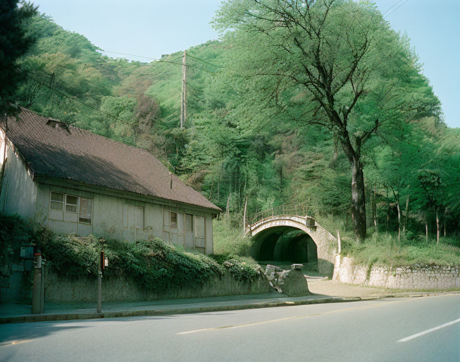 Scenic country road with leafy tree canopy and old house beside concrete tunnel