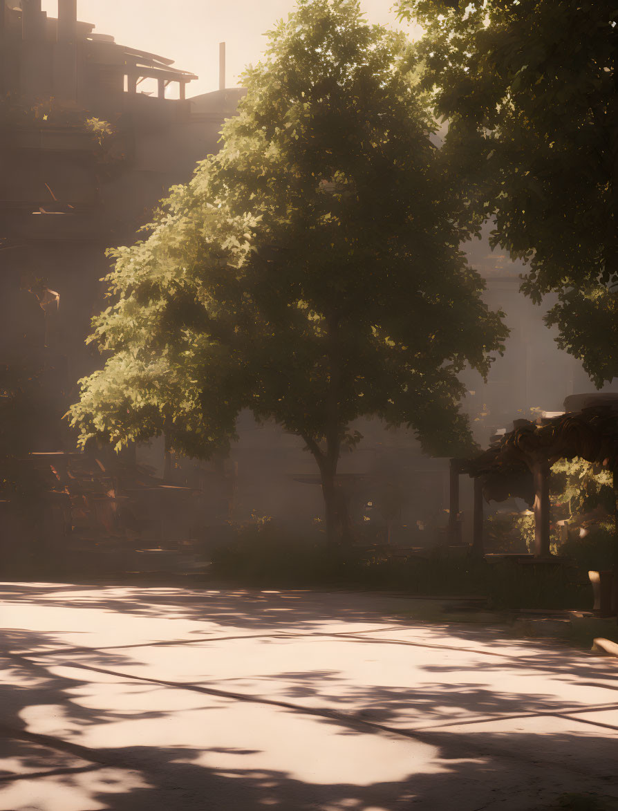 Sunlit Park Scene with Lush Tree and Urban Background