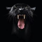 Black Panther Digital Art Illustration with Open Mouth and Sharp Teeth on Dark Background