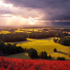 Tranquil sunset landscape with red fields, golden hills, trees, and distant village under cloudy sky