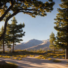 Tranquil landscape with dirt road, pine trees, and mountain range