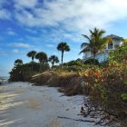 Tropical beach scene with thatched hut, palm trees, flowers, rocks, and blue sky