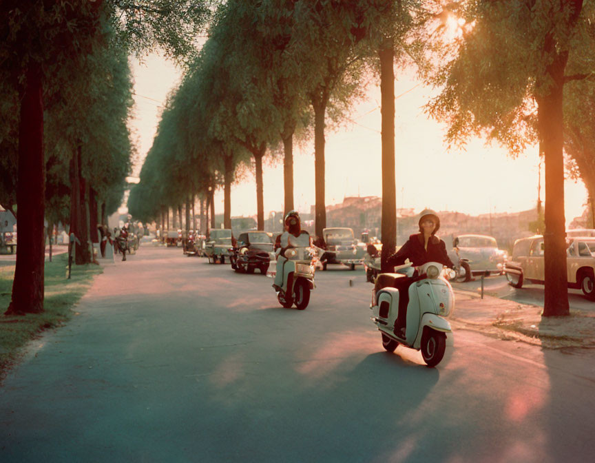 Scooter riders on tree-lined avenue at sunset with parked cars and long shadows