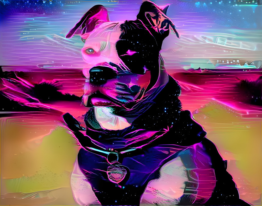 Synthdawg