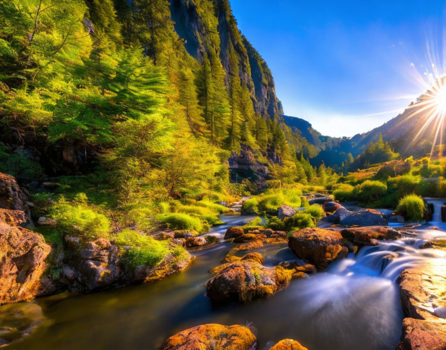 Mountain sunrise over lush green valley with flowing river and vibrant foliage