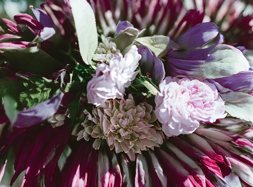 Colorful bouquet featuring pink roses and purple petals in close-up view