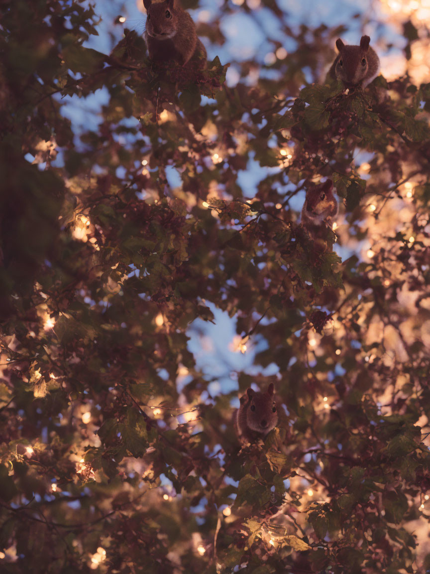 Three squirrels amidst colorful autumn leaves under warm sunlight