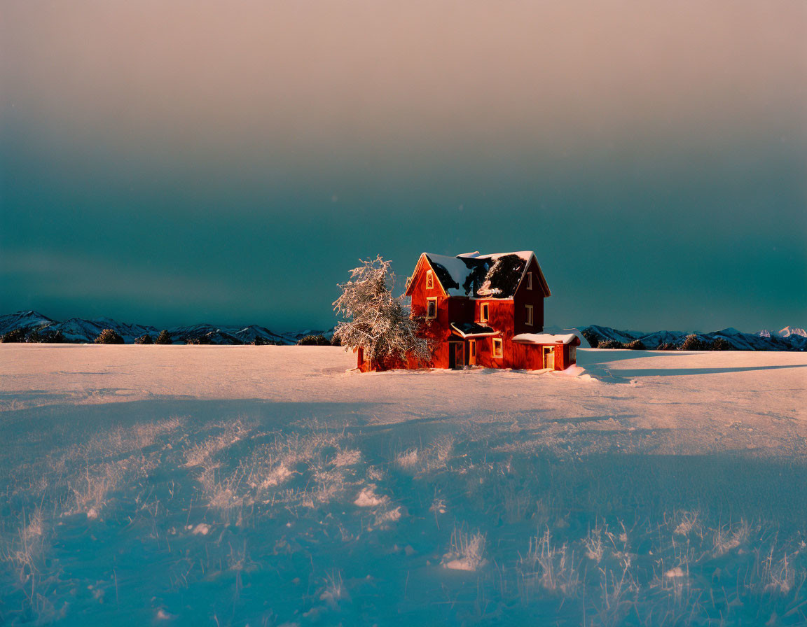 Red House in Snowy Landscape with Tree under Dusk Sky