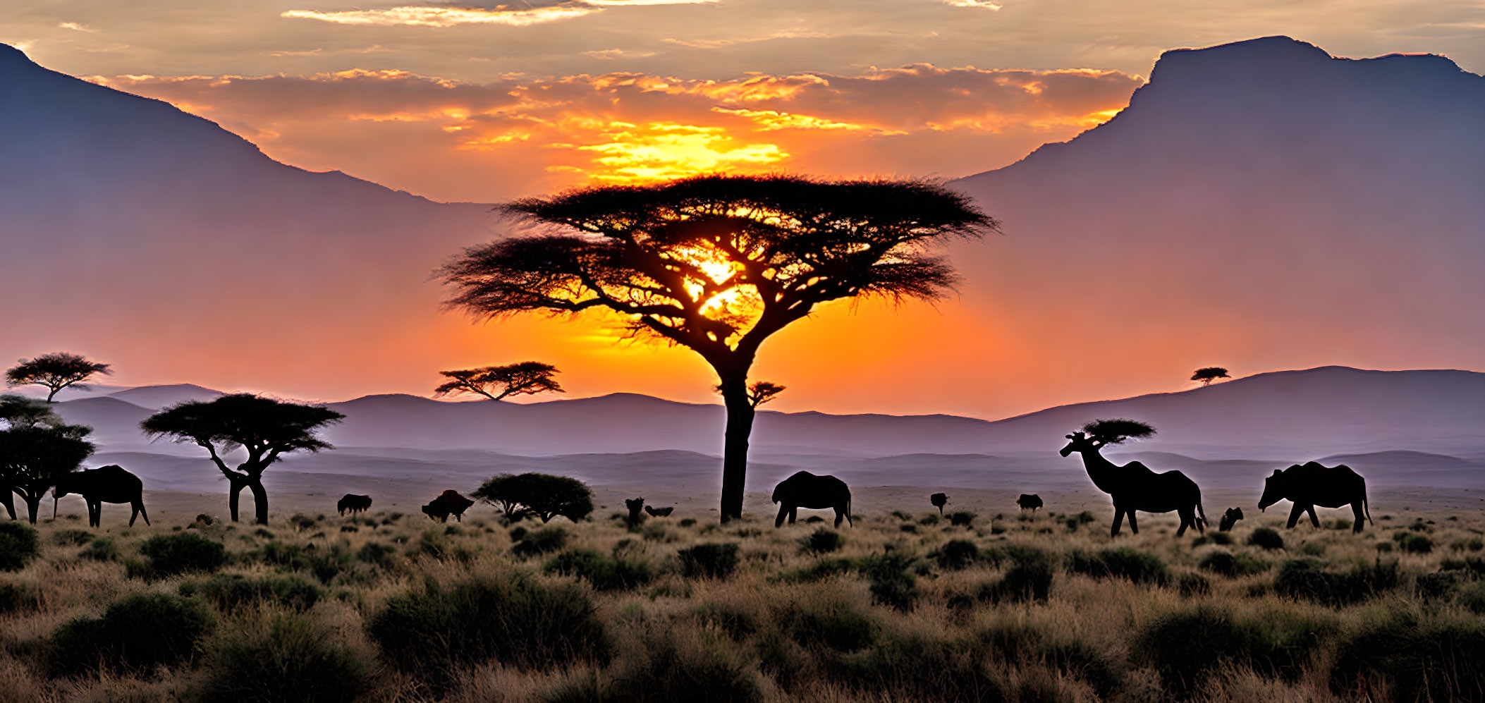 African Savanna Sunset with Elephant Silhouettes and Acacia Tree