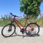 Vintage bicycle with flowers in vibrant meadow under blue sky