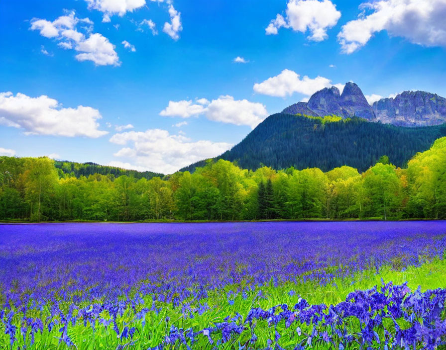 Scenic landscape: blue flowers, green forest, mountain