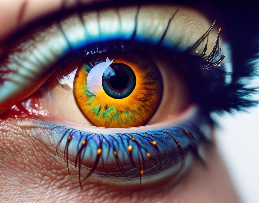 Detailed Close-Up of Human Eye with Orange Iris and Mascara-Enhanced Eyelashes