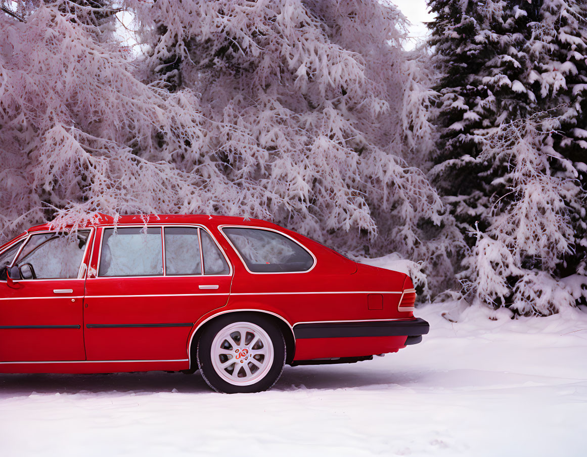 Vintage Red Car Parked in Snowy Landscape with Frost-Covered Trees