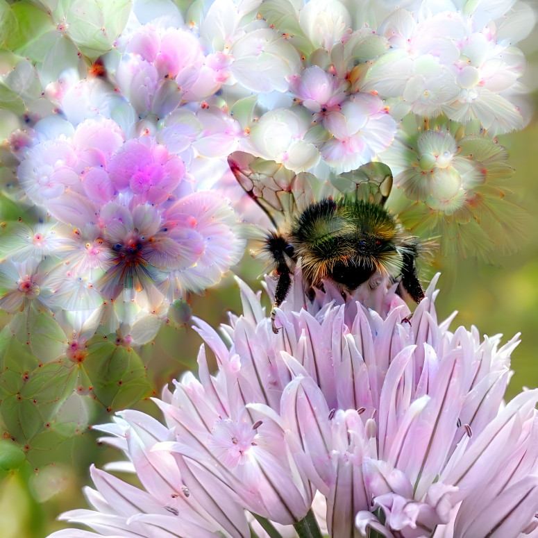 A Bumblebee's Viewpoint