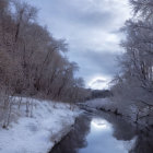 Tranquil Winter Landscape with Snow-Covered Trees and River