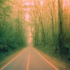 Person walking on tranquil forest road with tall bamboo trees