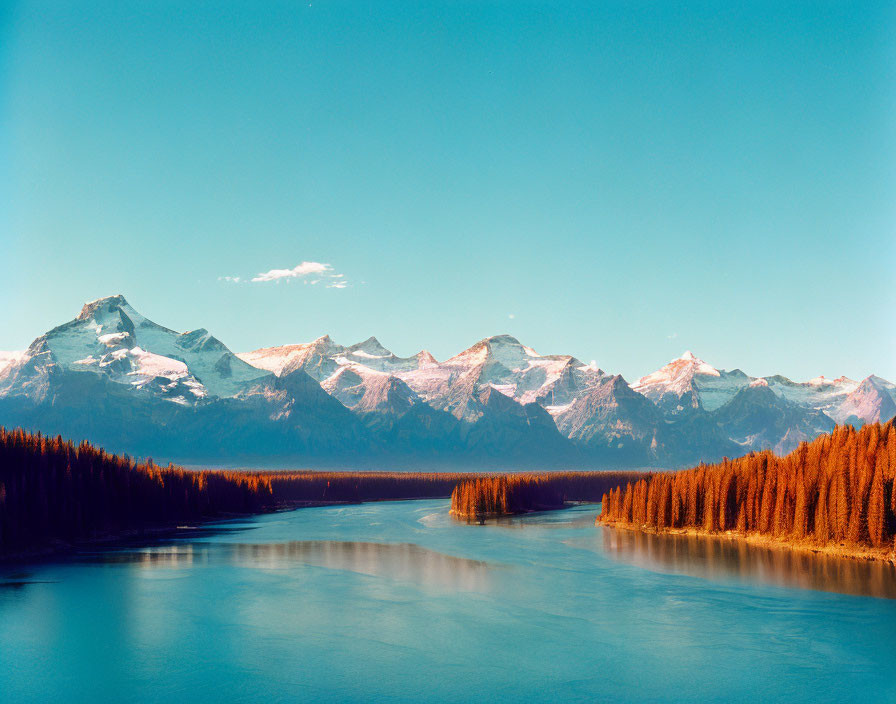 Turquoise River in Amber Forest with Snow-Capped Mountains