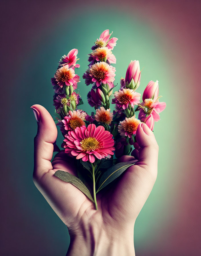 Hands cradle vibrant pink and orange flowers on teal background