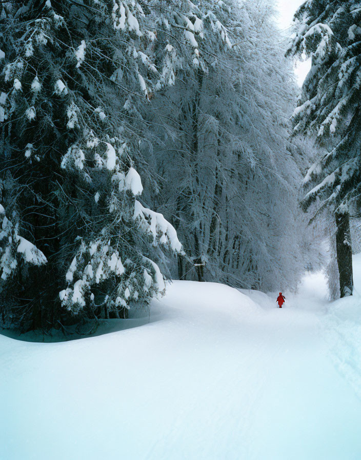 Red figure in snowy forest scene with frost-clad trees