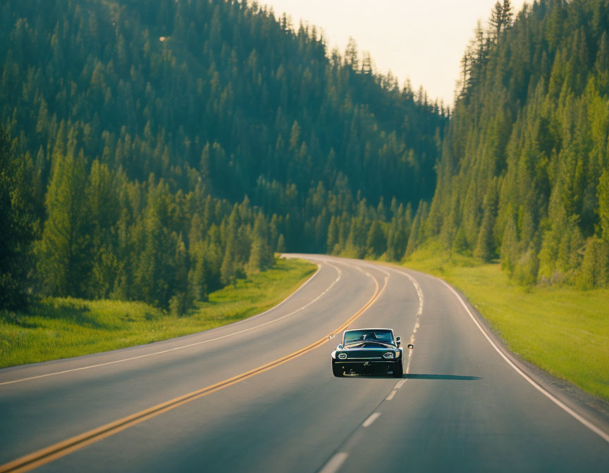 Vintage car driving on scenic road surrounded by green trees