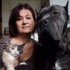 Woman in elegant attire with intense gaze alongside black tiger and grey-and-white cat