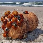 Glass Bottle on Floral Beach with Ladybug and Sparkles