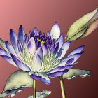 Purple and White Lotus Flower Watercolor Painting on Pink Background