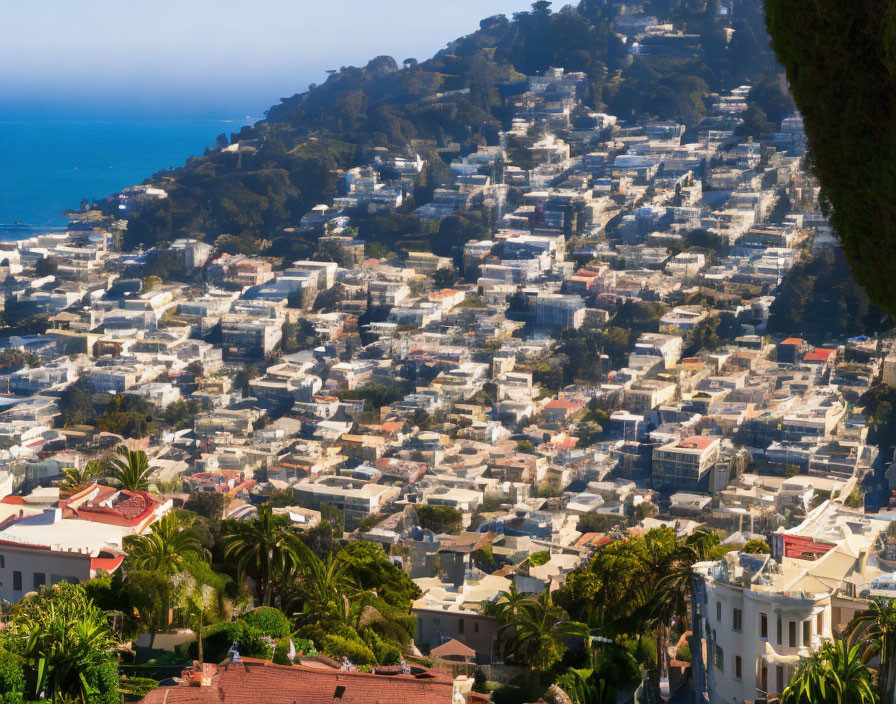 Coastal Town: White Buildings, Green Hills, Blue Sea