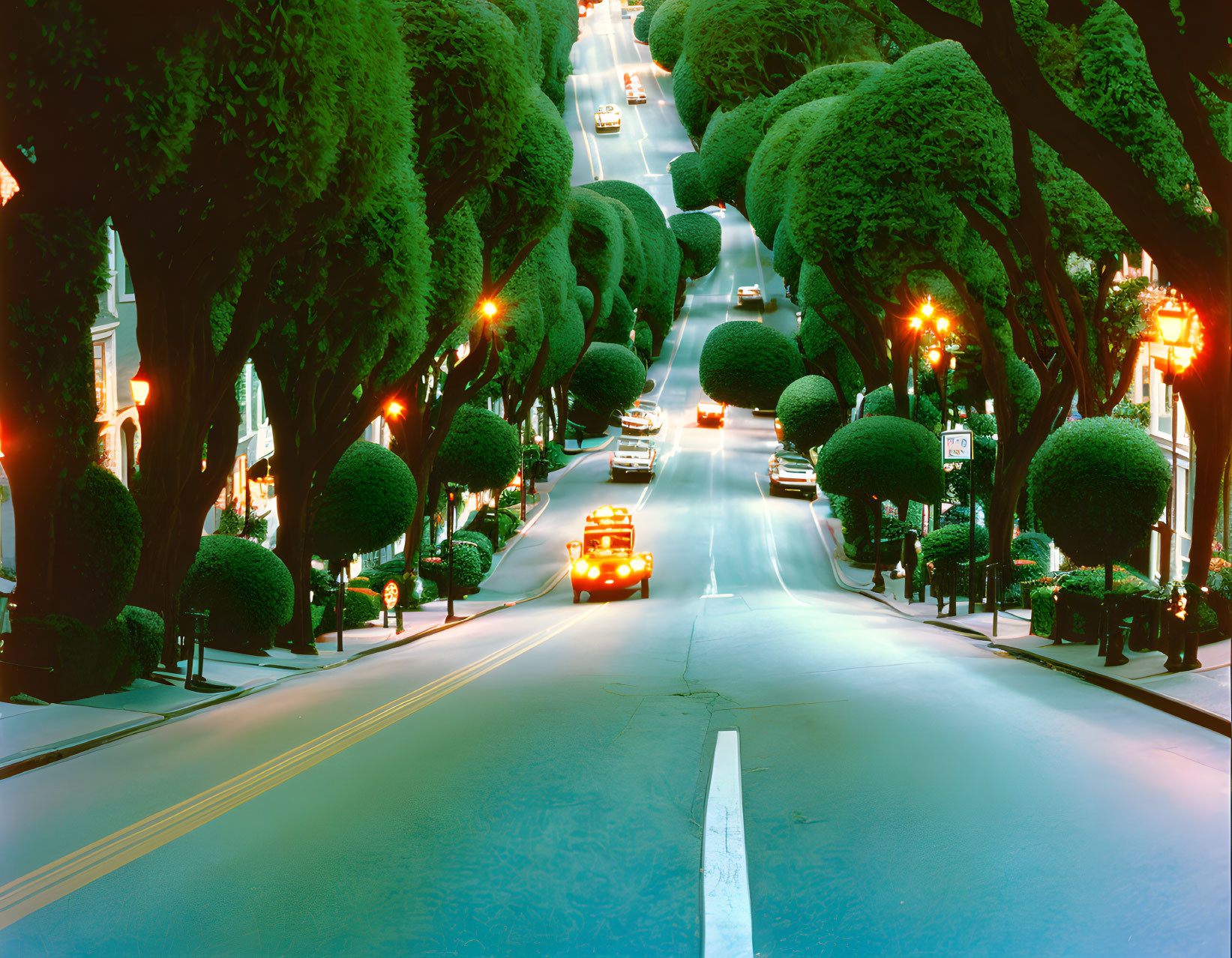 Tree-lined street at night with cars and street lights, featuring a car with headlights on.