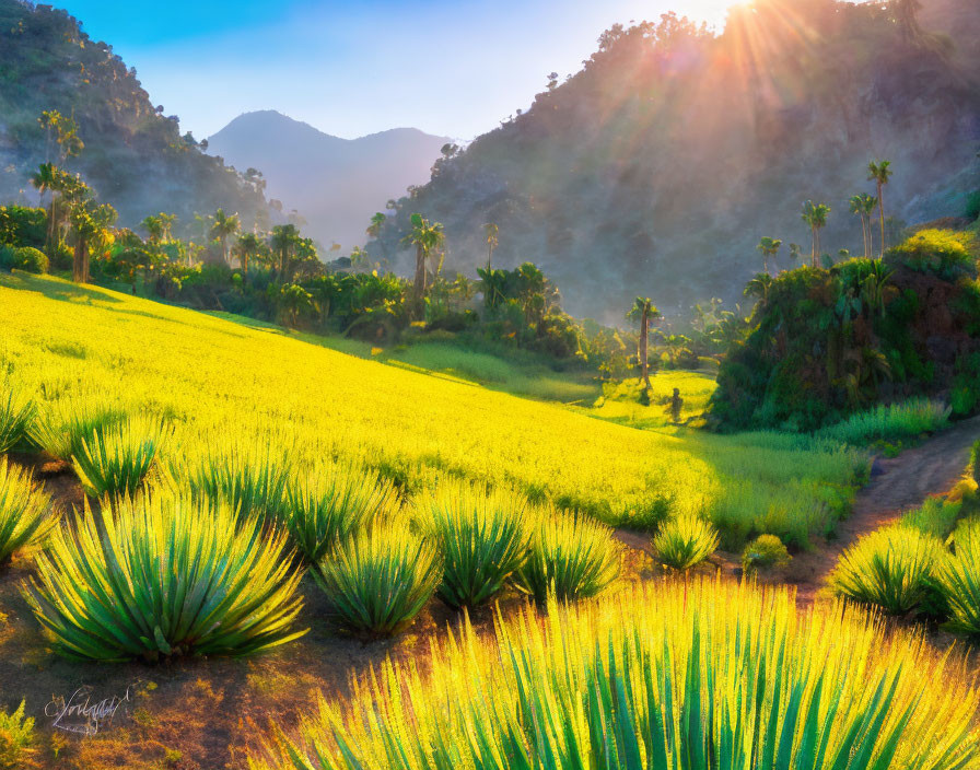 Vibrant landscape with agave plants, mountains, and lush valley