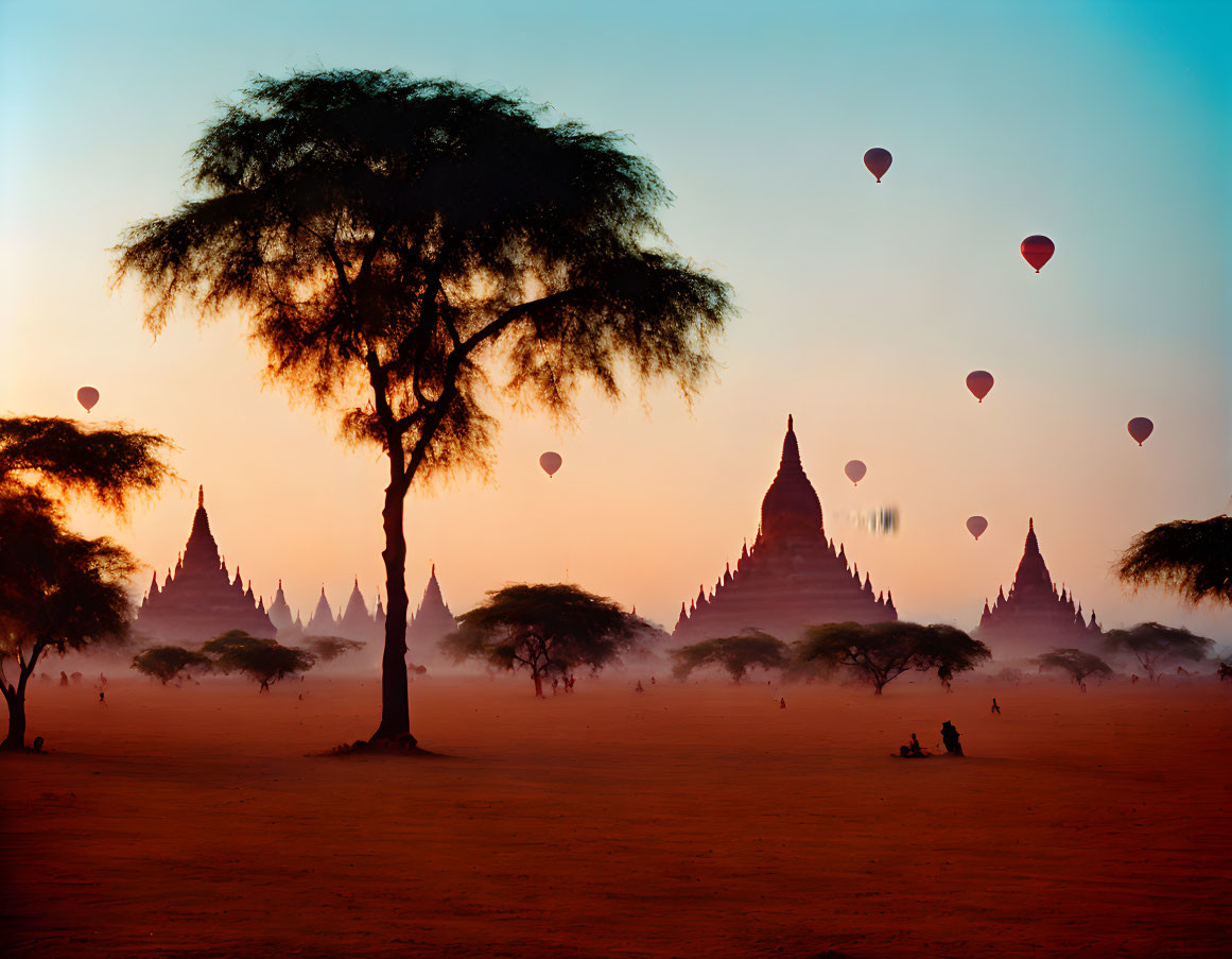 Sunrise view of silhouetted tree, ancient temples, hot air balloons, and person sitting