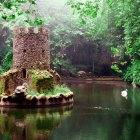 Tranquil forest landscape with wooden bridge, swan, colorful trees, and birds