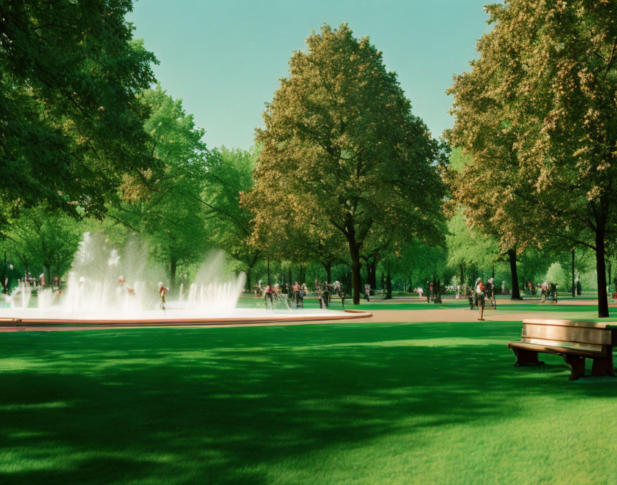 Tranquil Park Setting with Green Trees and Fountain