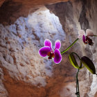 Mystical orchid passage with purple flowers and magical glow