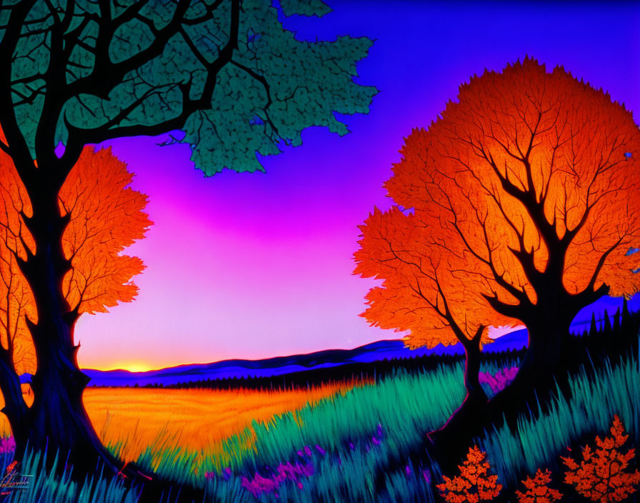 Silhouette Trees on Purple and Orange Sunset Sky Landscape