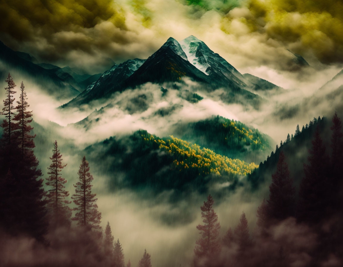 Foggy mountain landscape with forest, cloudy skies